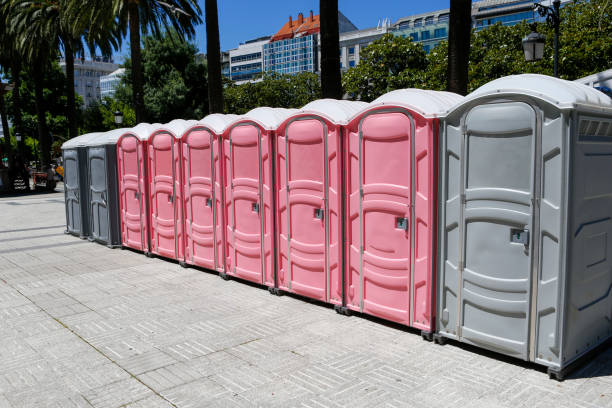 Best Portable Toilet Rental for Emergency Services  in Hutchins, TX